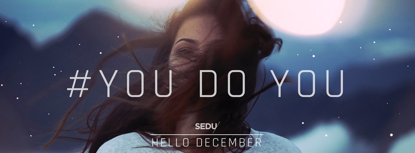 SEDU holiday banner