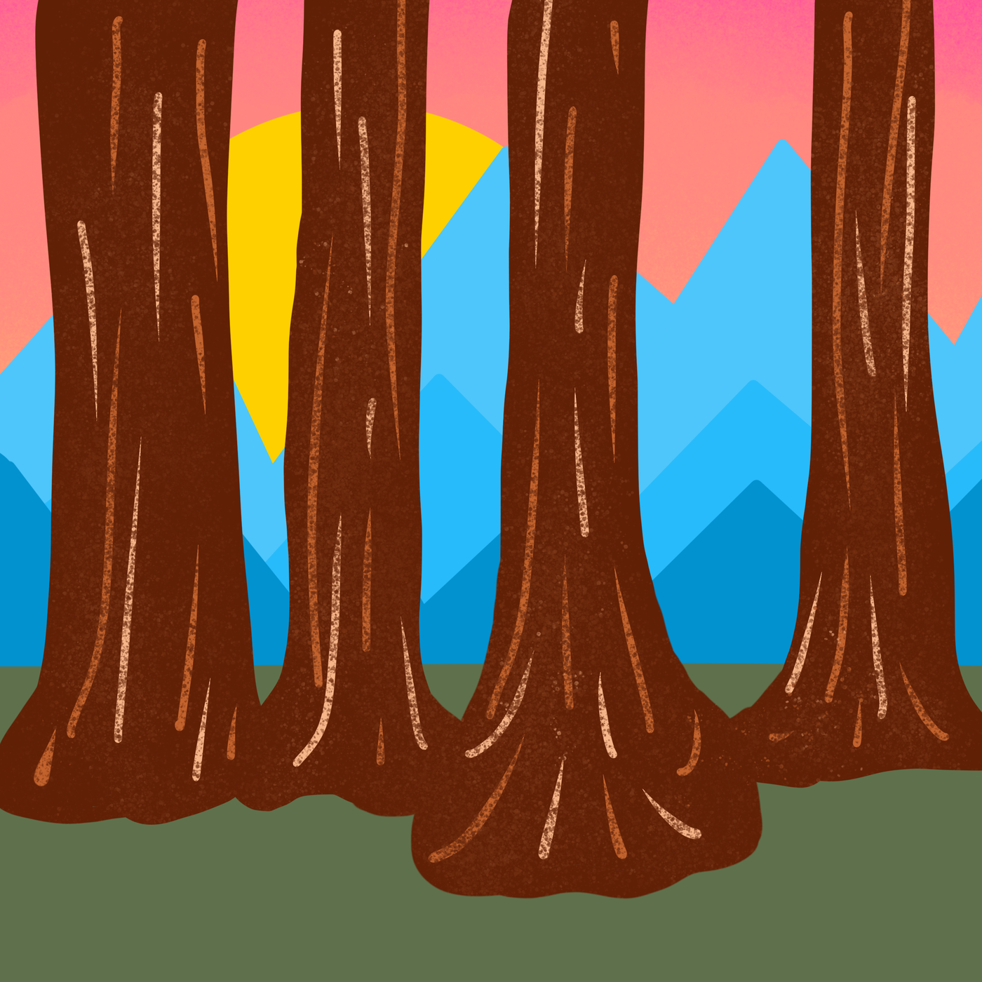 National park illustration