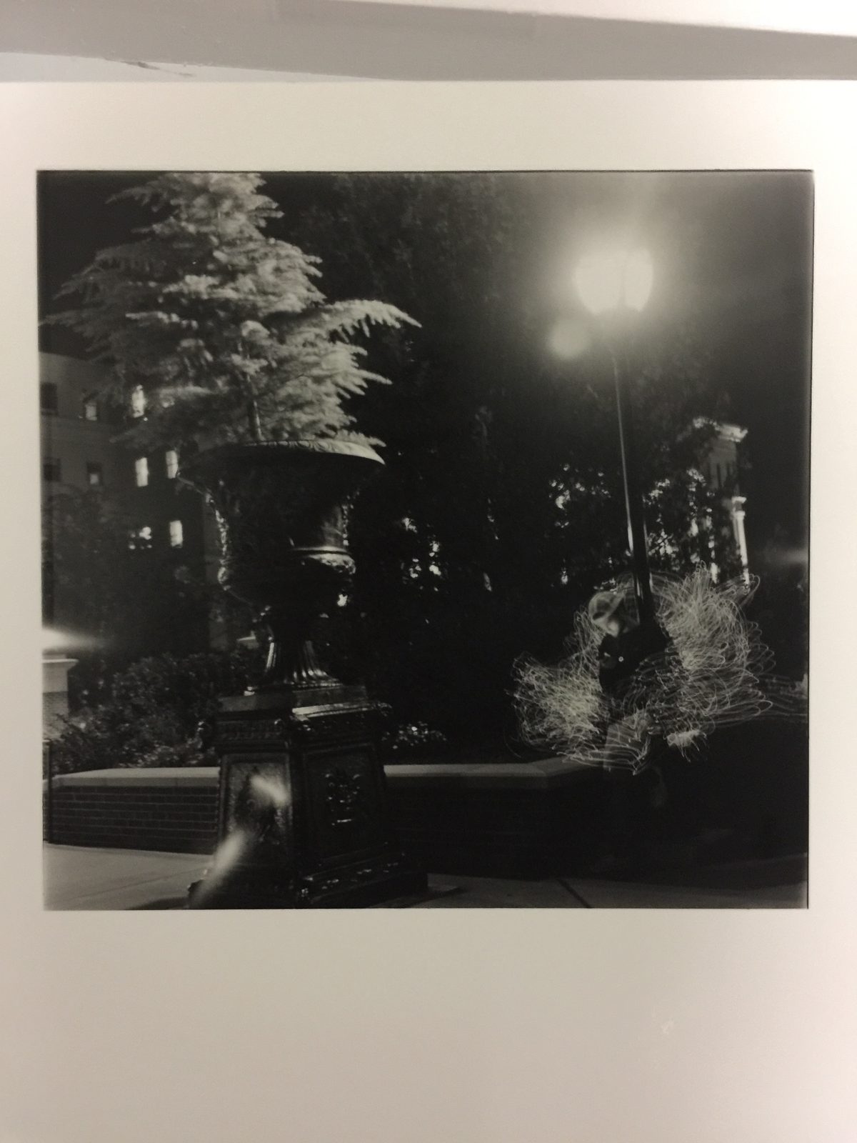 Film Photography photo 4